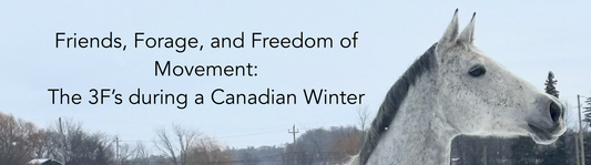 Friends, Forage, and Freedom of Movement: The 3F’s during a Canadian Winter