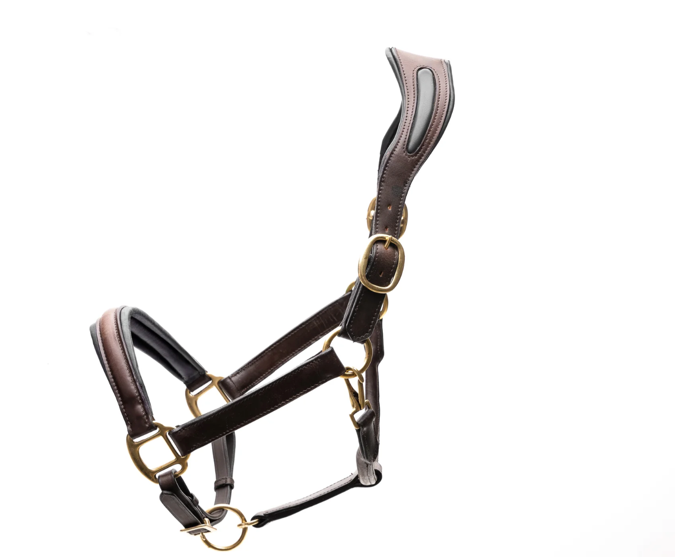Ergonomic Halter with Black Padding