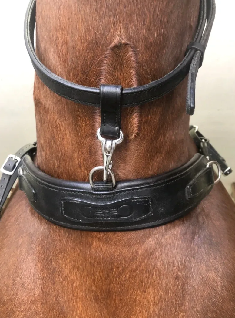 3-in-1 Training Breastplate