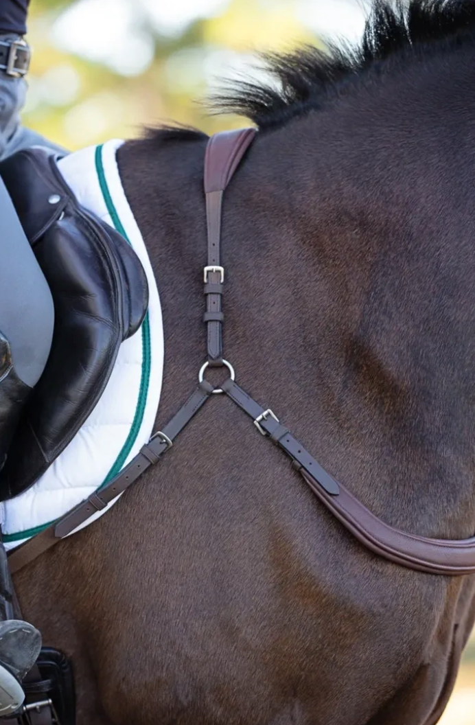 Free Motion Breastplate
