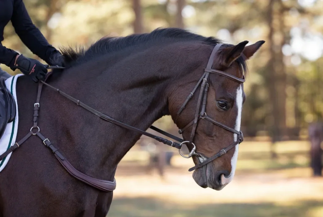 Free Motion Breastplate