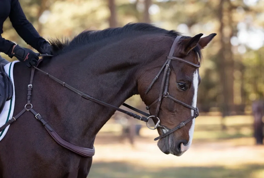 Free Motion Breastplate