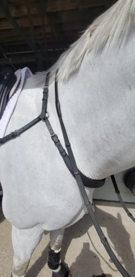 Free Motion Breastplate