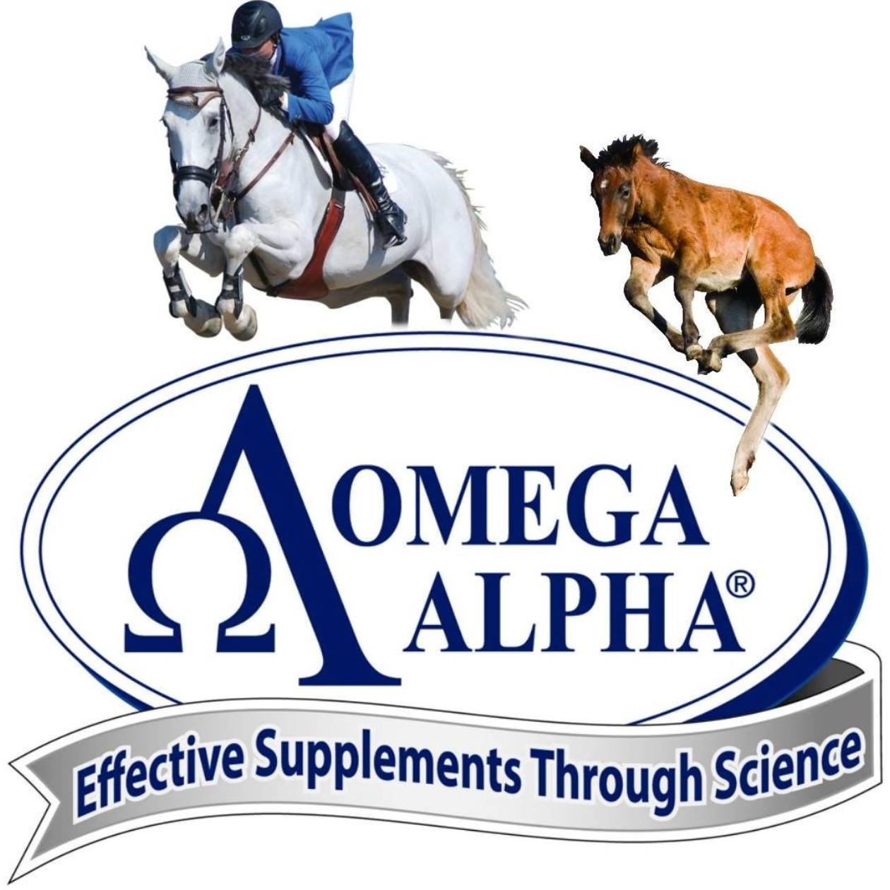 Omega Alpha – Fit to Compete Wellness