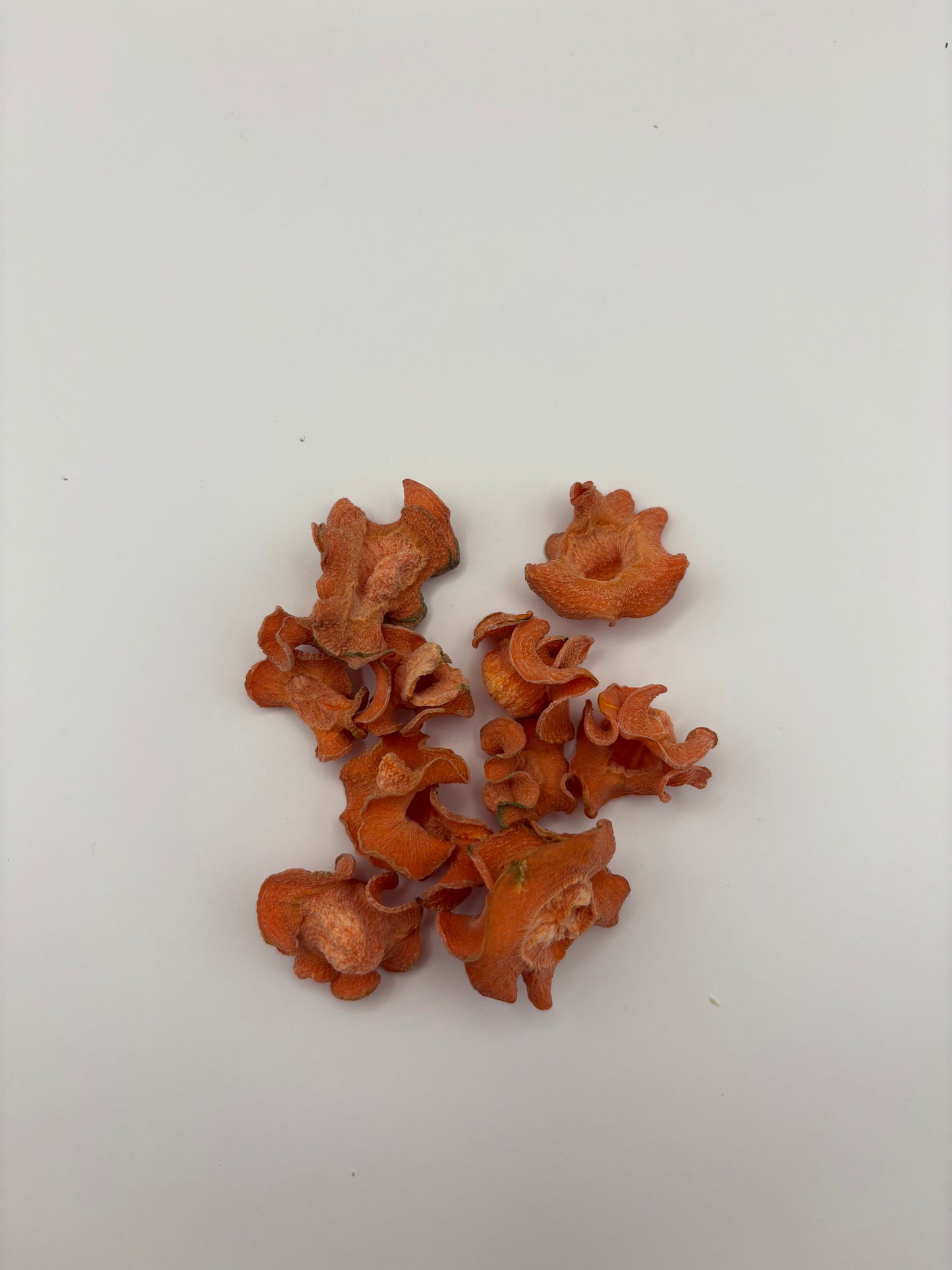 Sweet + Salty Clickees Carrot Horse Treats