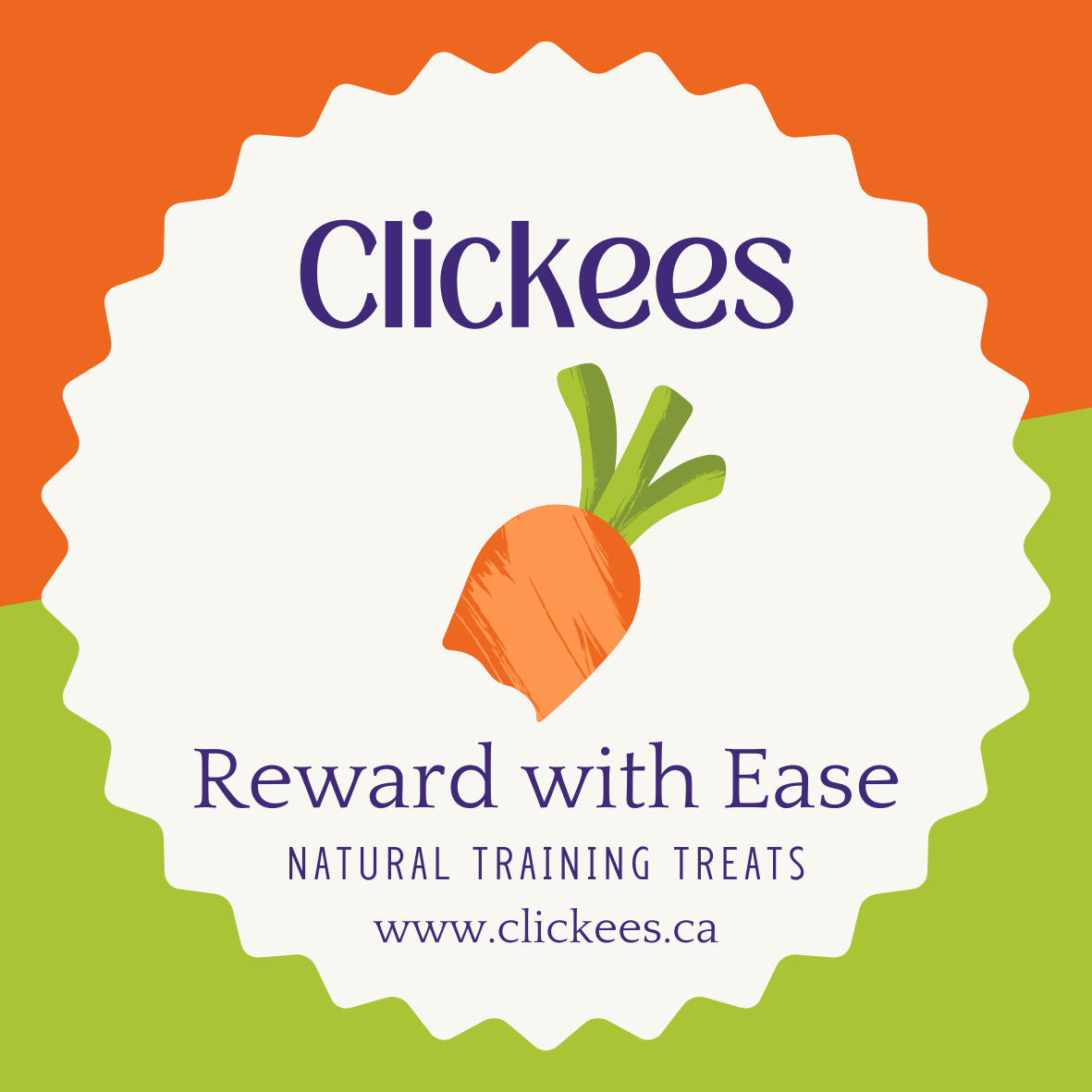 Introduction to Positive Reinforcement: Quick Start Guide (Digital)