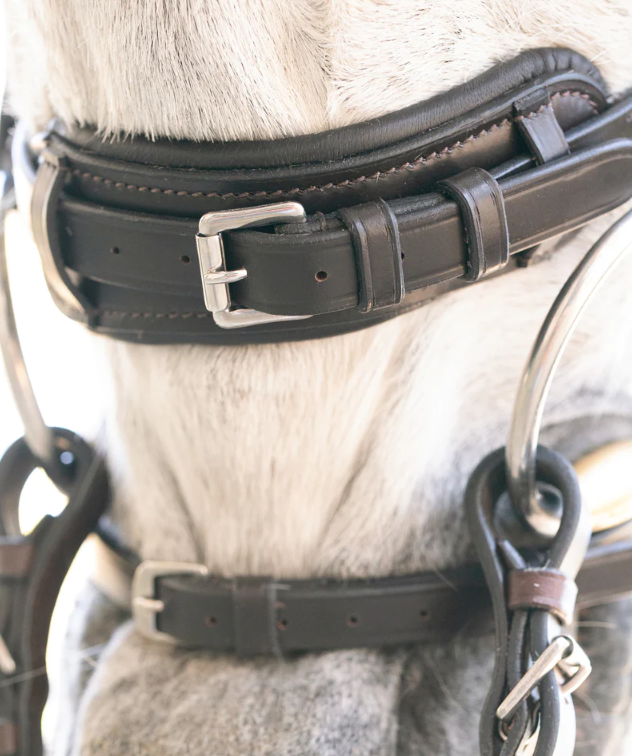 Pro-fit Comfortable Bridle in Brown