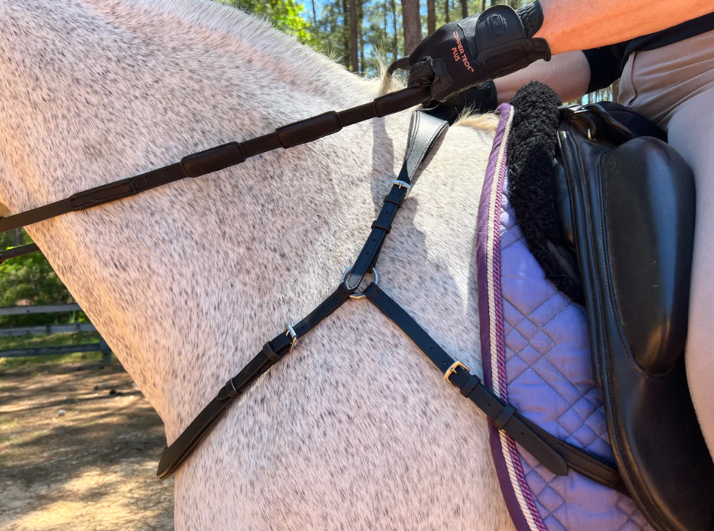 Comfort Connect Rein Ontario Canada Correct Connect with Free Motion Breastplate